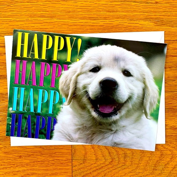 Card, Stationery Assortment—Birthday, Thank You, Get Well, Blank, Postcards - Picture 7 of 12